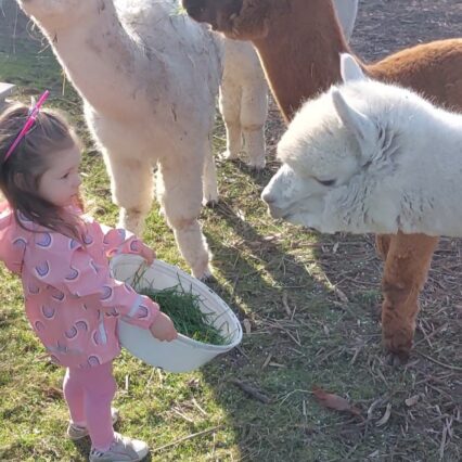 Screenshot_20250715_143311_Gallery