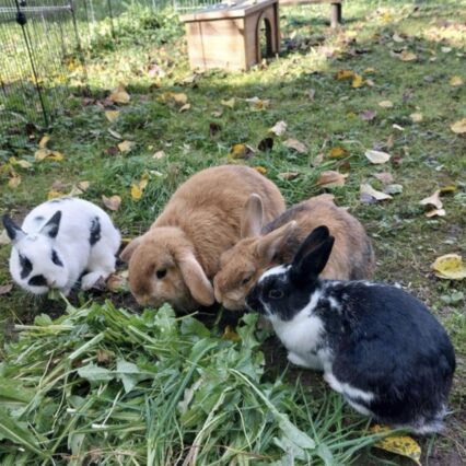 Screenshot_20251205_212751_Gallery